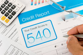 Your Credit Reports