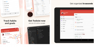 todoist Review