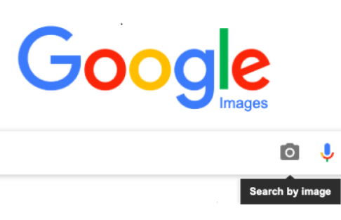 Reverse Image Search