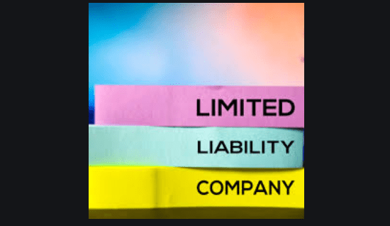 What is a Limited Liability Company