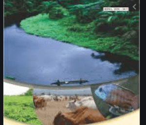 Connecticut Regional Water Authority Online Bill Payment