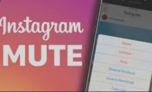 HOW TO MUTE SOMEONE ON INSTAGRAM - don't want to see stories