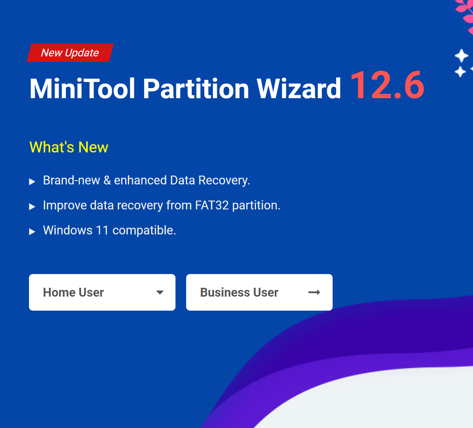 Minitool Partition Wizard Professional Edition