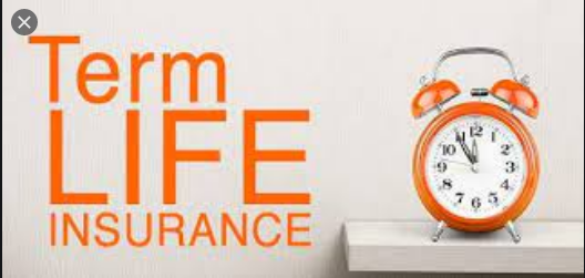 Term Life Insurance