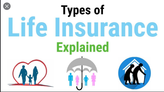 Types of Life Insurance