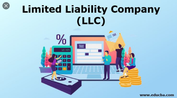 What is a Limited Liability Company