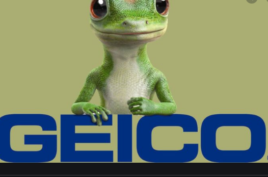 GEICO INSURANCE