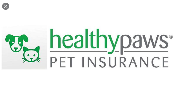 HEALTHY PAW PET INSURANCE