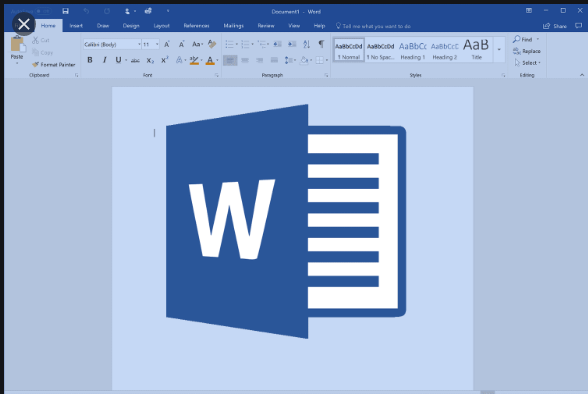 Microsoft Word