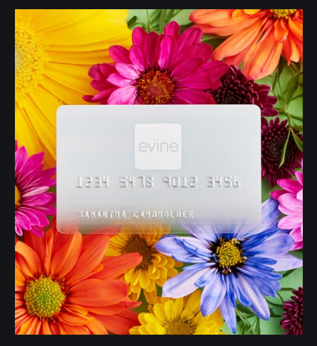 Evine Live Credit Card