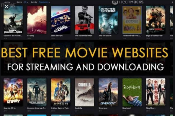 WEBSITES FOR DOWNLOADING MOVIES