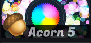 Acorn 5