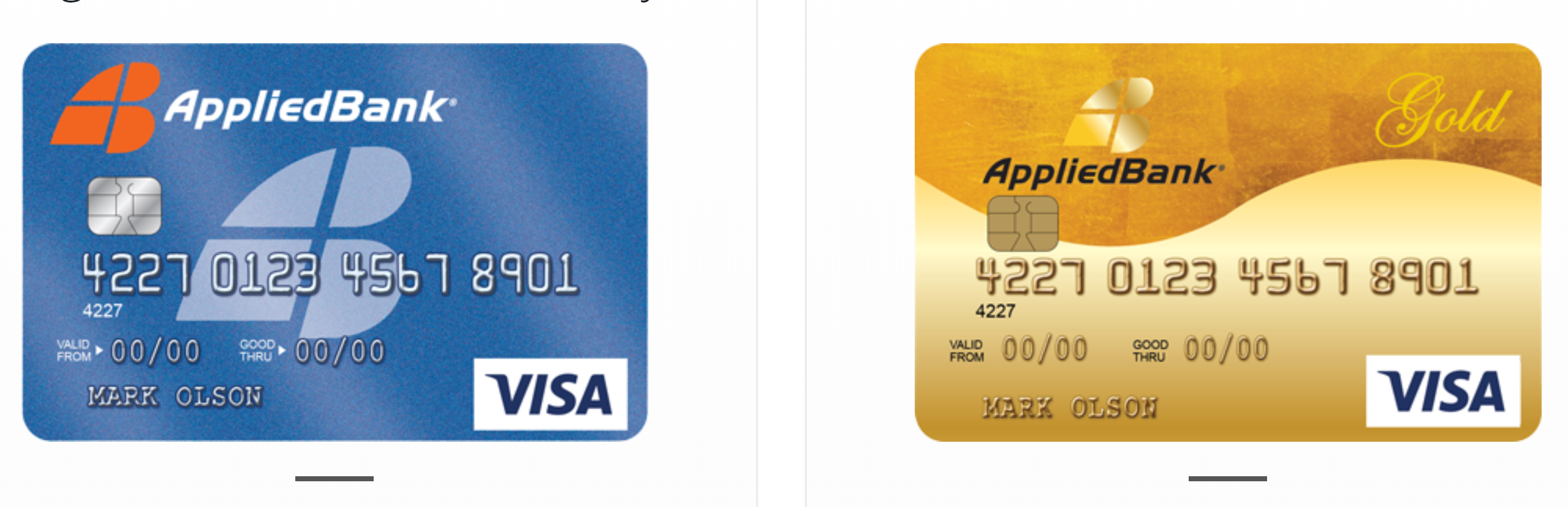 Payment on Applied Bank Credit Card - online payment portal